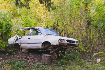Abandoned car in green forest