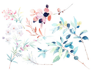 Watercolor flowers illustration