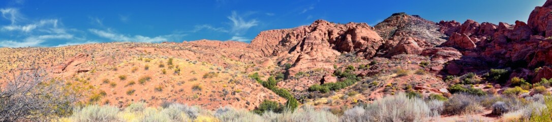 Red Cliffs National Conservation Area Wilderness and Snow Canyon State Park from the  Elephant Arch and bone wash Trail by St George, Utah in desert reserve. United States. USA.