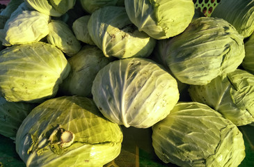Fototapeta na wymiar Cabbage sold in the market