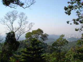 a high angle view of trees in baiyun mountain, with guangzhou cityscape at the background