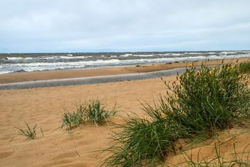 Fototapeta na wymiar The baltic coast in Latvia during the rainy and windy day. The sea is wild and the waves are quite big. The beaches are empty. 