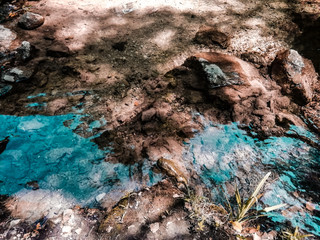  nature with blue sky and green tones