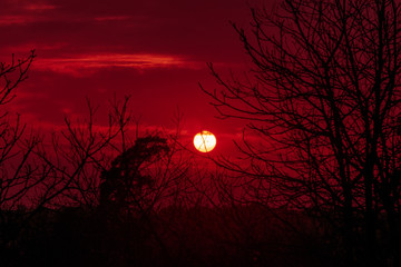 Bright red sunset. The orange and red colors of the sun during sunset © Klochkov
