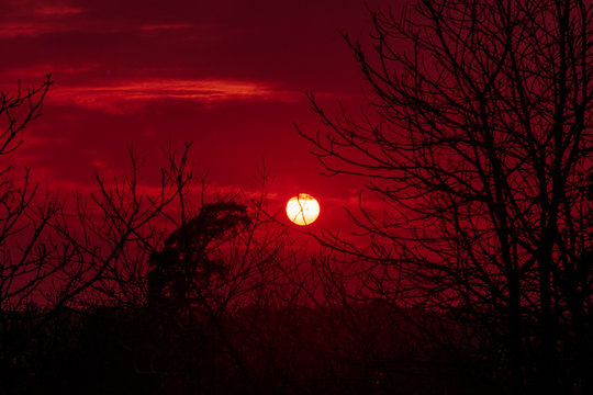 Bright red sunset. The orange and red colors of the sun during sunset