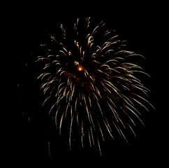 Beautiful Firework in the sky, celebration and new year concept