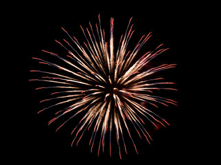 Beautiful Firework in the sky, celebration and new year concept
