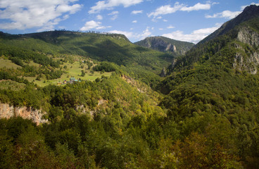 Mountain summer landscape. Canyon in Montenegro.	