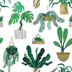 Wall murals Plants in pots Decorative houseplants seamless pattern background