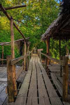 wooden bridge between trees