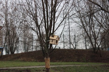 A small bird on a bird feeder. Moscow. Russia.