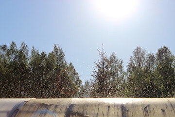 Fototapeta premium Flying drops of water lit by the sun. Russia.