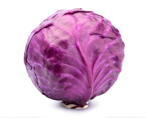 red cabbage isolate on white