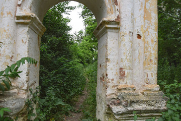 ancient abandoned arch in a dense forest of unknown people