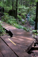 Lynn Canyon Park　リン・キャニオンパーク