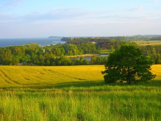 Rügen 3