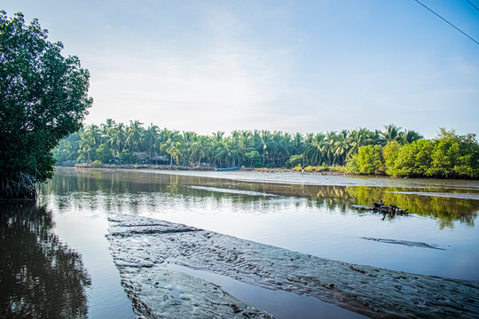 paisaje de ri&oacute; e pantano 