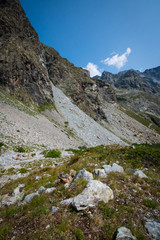 Marmots in mountains of Ecrins, France