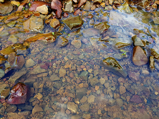 Acqua di torrente