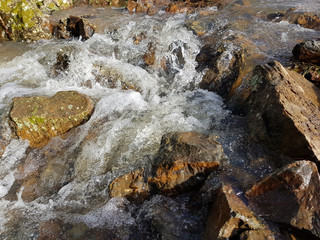 Acqua di torrente
