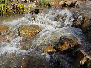 Acqua di torrente