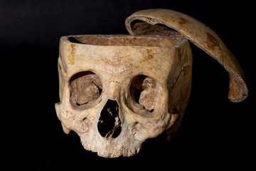 skull on black background