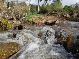 Acqua di torrente
