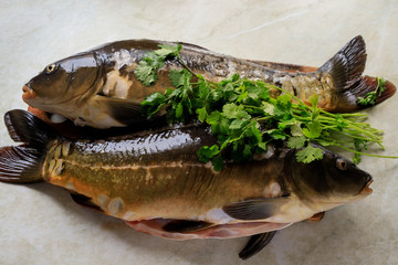 Mirror carp on a cutting Board. Fresh fish before cooking.