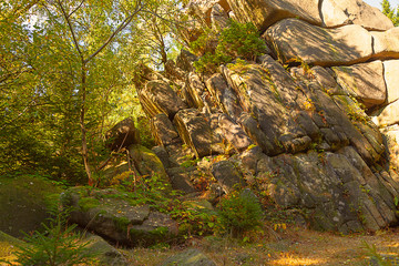 Felsenklippen auf einer Anhöhe im Harz mit Wald an einem Herbsttag