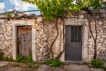 Fototapeta na wymiar Doors of an old house with vines