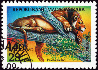 Postage stamp Malagasy 1994 Lion, wild animal