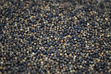 Black pepper