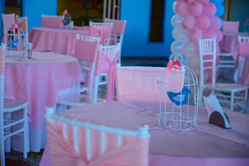 children's party decorated with birds