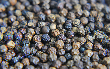 Black pepper