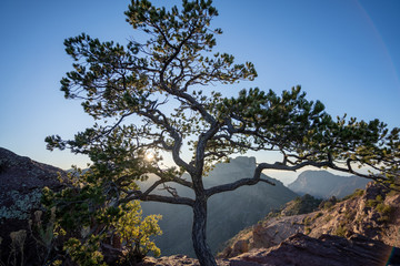 Views of the mountains are always present in the deserts of West Texas. 
