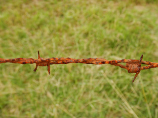 Rusty wire