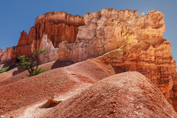 Hoodoos of Queens Stone Garden,  Bryce Canyon National Park, Utah