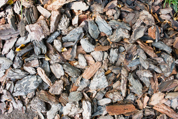Woody background, backdrop of shredded pieces of tree bark.