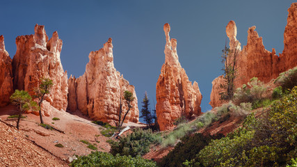 Hoodoos of Queens Stone Garden,  Bryce Canyon National Park, Utah