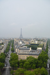 Fototapeta na wymiar Roofs of Paris.