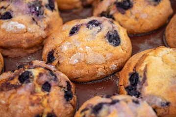 blueberry muffins in tin, close up