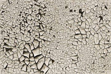 the old white paint was cracked textura seamless