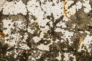 Obraz premium the old white paint was cracked textura