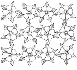 A flower with five petals and five leaves. Flower drawn by lines.