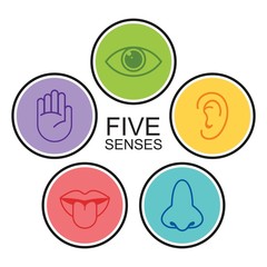 Human senses icon. Vector illustration,