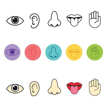 Human senses icon. Vector illustration,