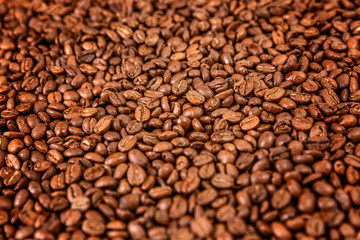 Coffee beans in a dense layer. Background. Space for text.