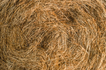 A close-up shot of a twisted haystack, dry straw. Hay texture. Harvesting concept in agriculture