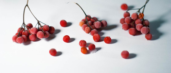 Frozen Berry. On white background. Close-up.