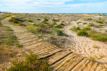 Wooden footpath in coastal sand dunes.